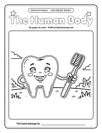 The Human Body coloring book cover