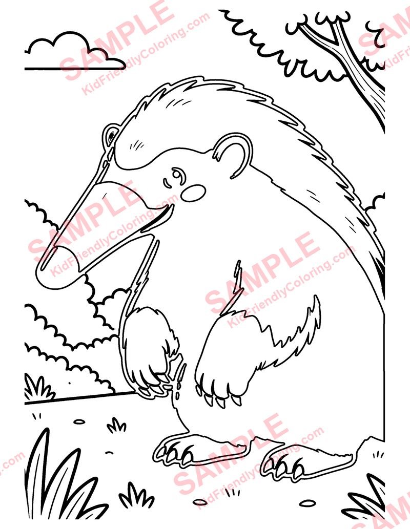 Anteater coloring page preview