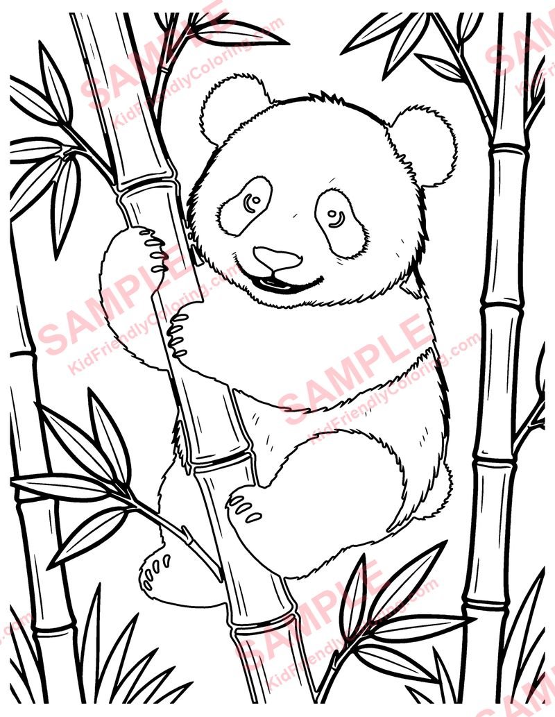 Baby Panda coloring page preview