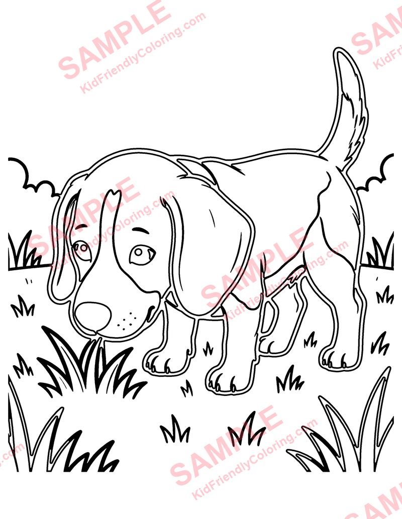 Beagle coloring page preview