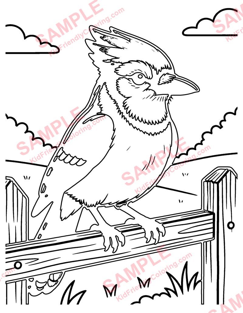 Blue Jay coloring page preview