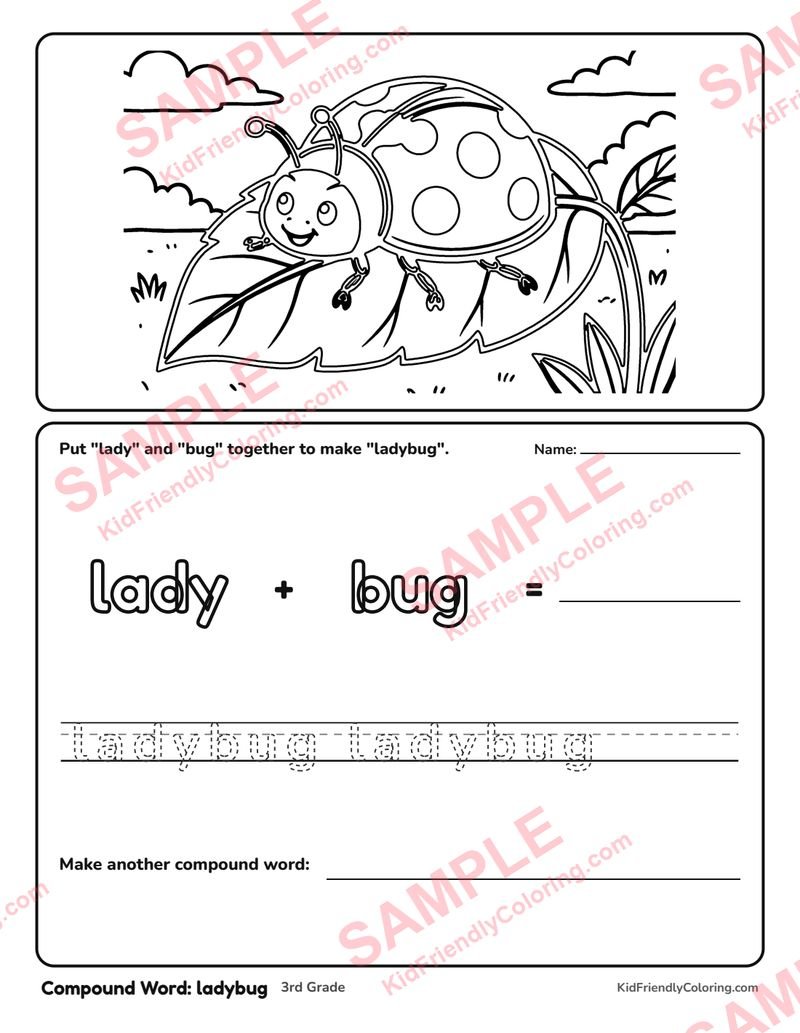 Compound Word: ladybug coloring page preview