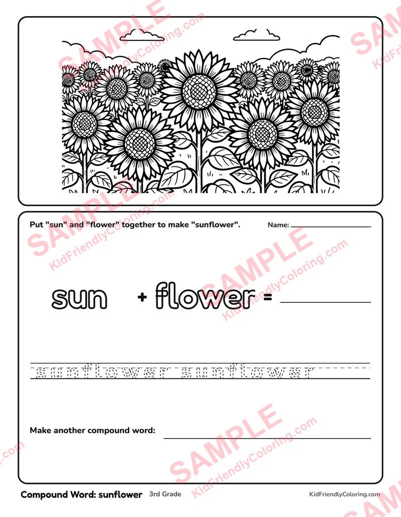 Compound Word: sunflower coloring page preview