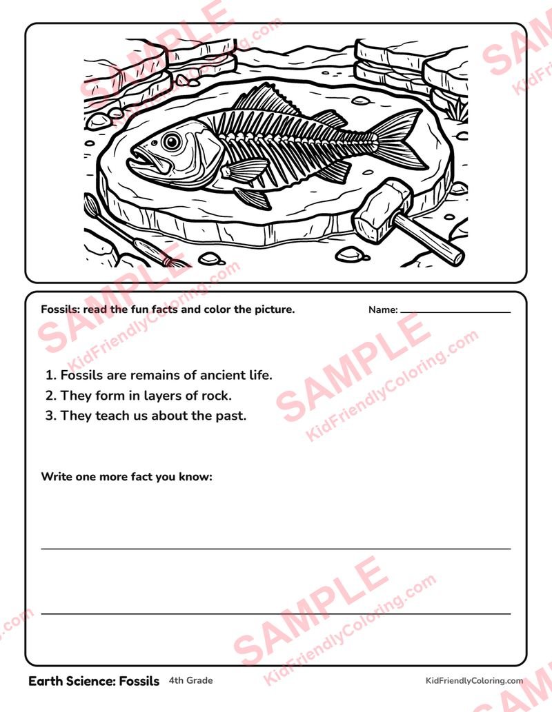 Earth Science: Fossils coloring page preview