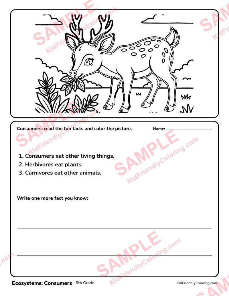 Ecosystems: Consumers coloring page preview