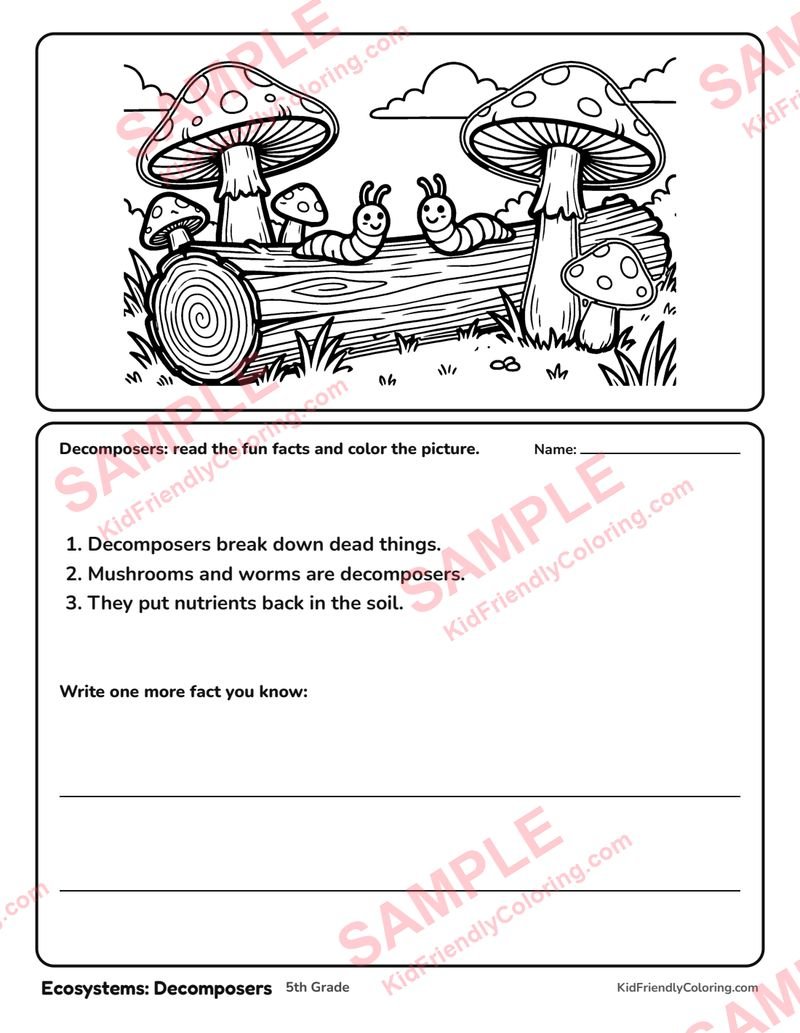 Ecosystems: Decomposers coloring page preview
