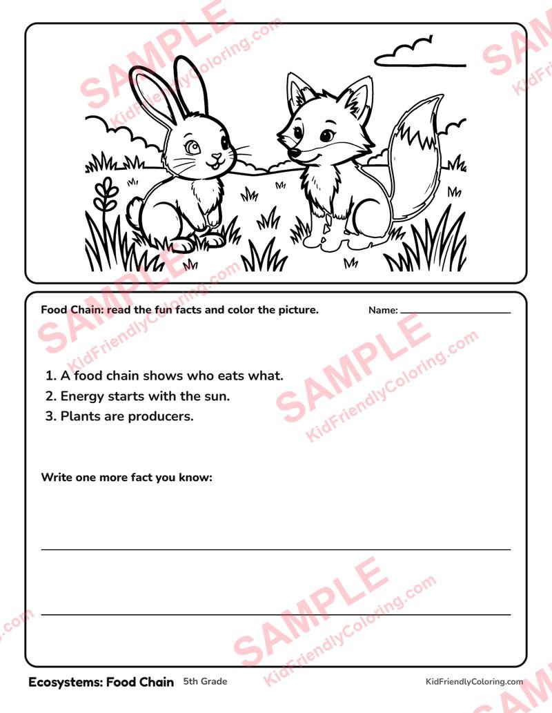 Ecosystems: Food Chain coloring page preview
