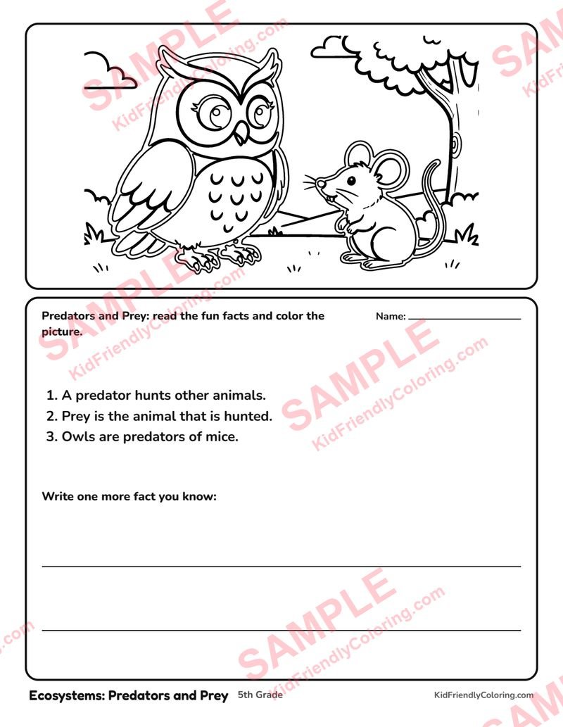 Ecosystems: Predators and Prey coloring page preview