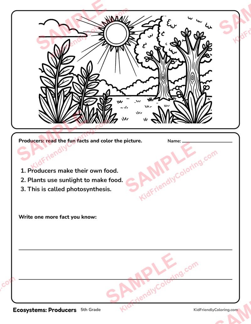Ecosystems: Producers coloring page preview