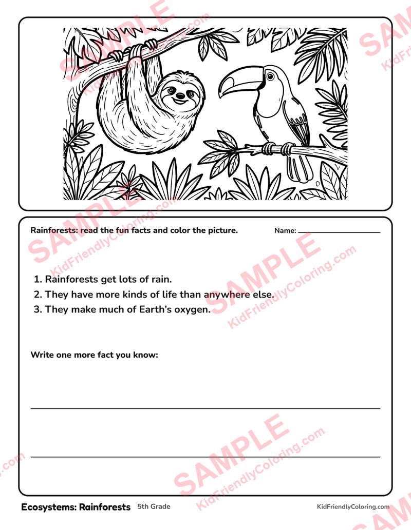 Ecosystems: Rainforests coloring page preview