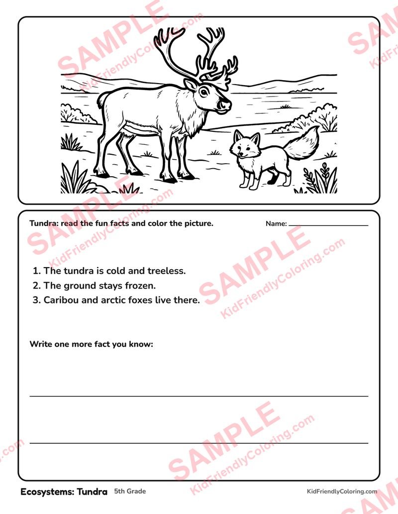 Ecosystems: Tundra coloring page preview