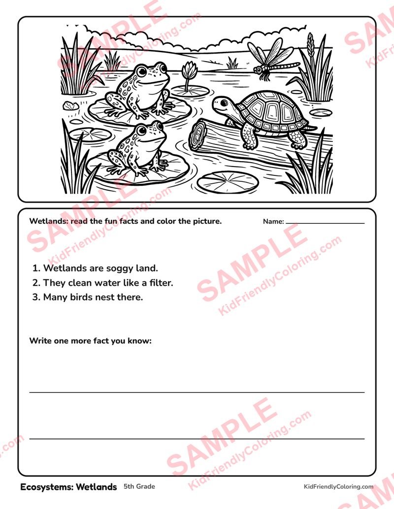 Ecosystems: Wetlands coloring page preview