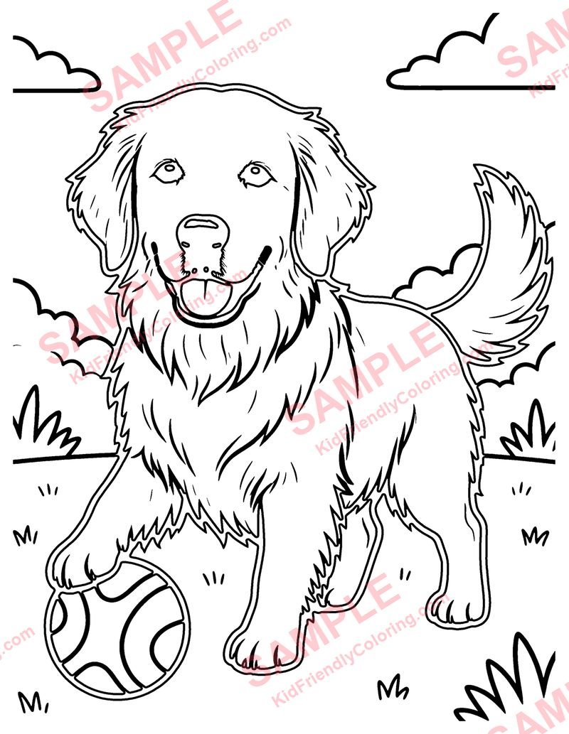 Golden Retriever coloring page preview