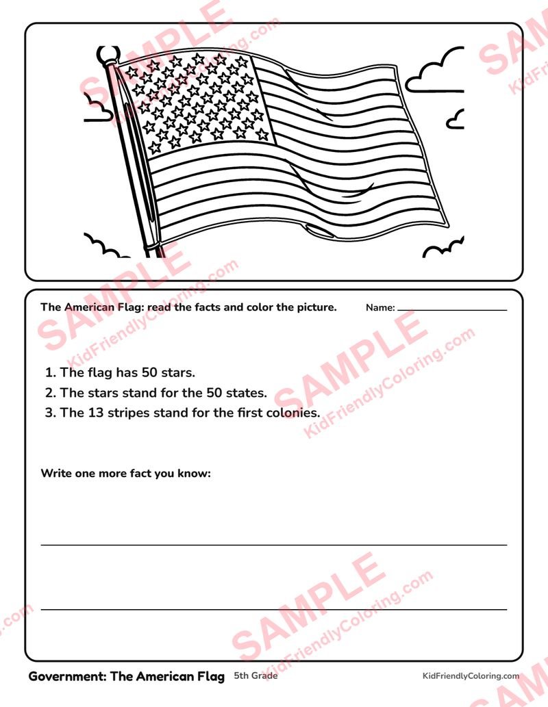 Government: The American Flag coloring page preview