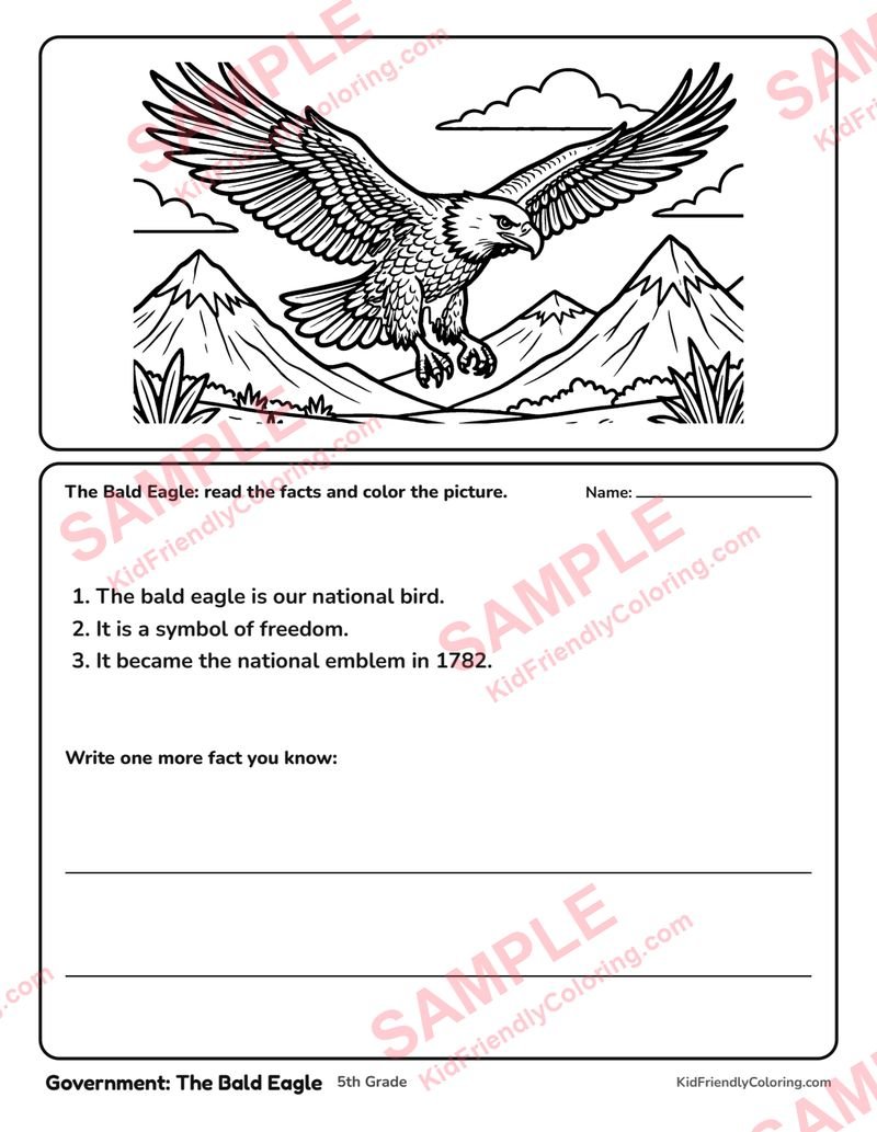 Government: The Bald Eagle coloring page preview