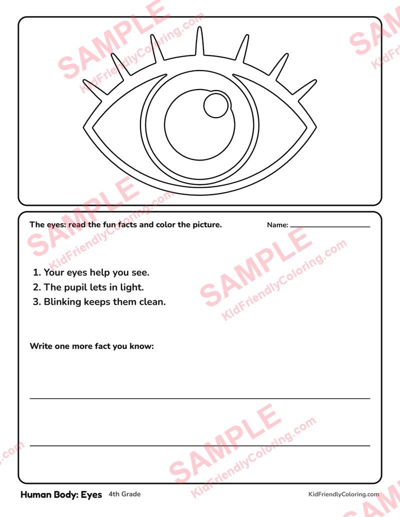 Human Body: Eyes coloring page preview