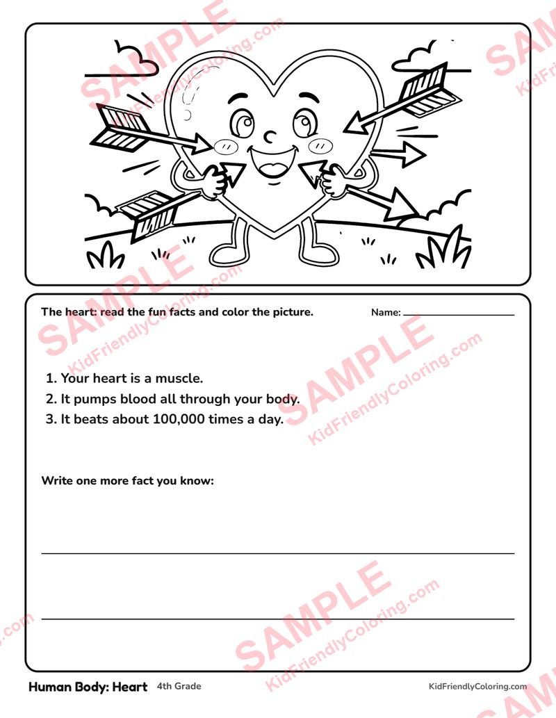 Human Body: Heart coloring page preview