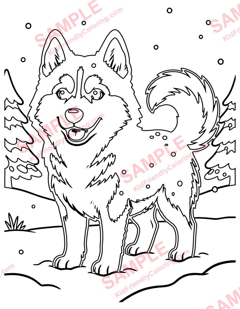 Husky coloring page preview