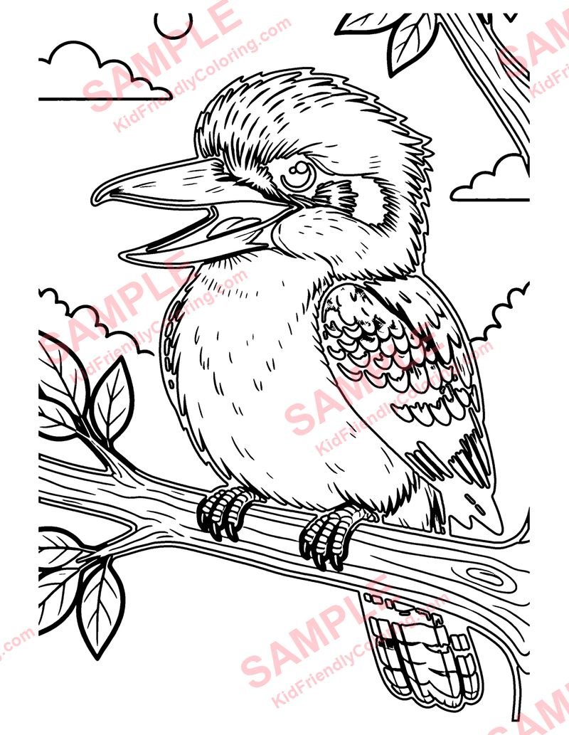 Kookaburra coloring page preview