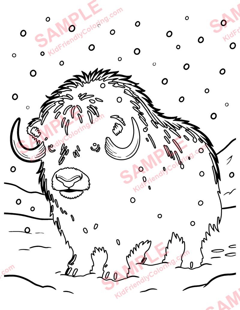 Musk Ox coloring page preview