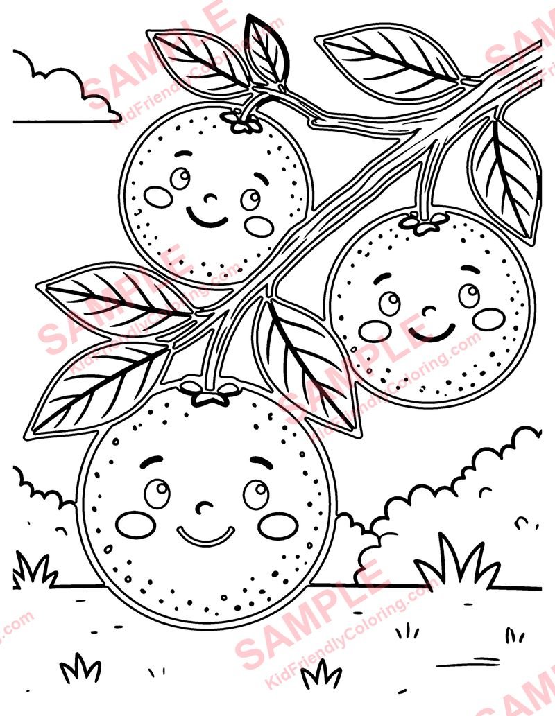 Oranges coloring page preview