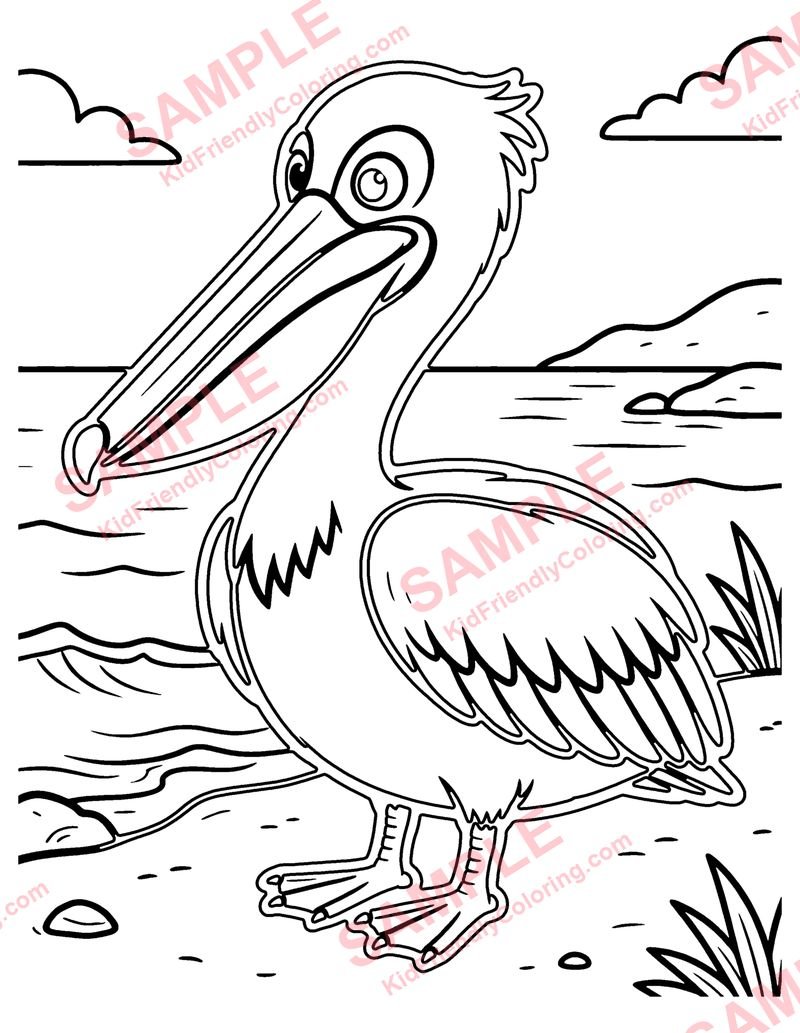 Pelican coloring page preview