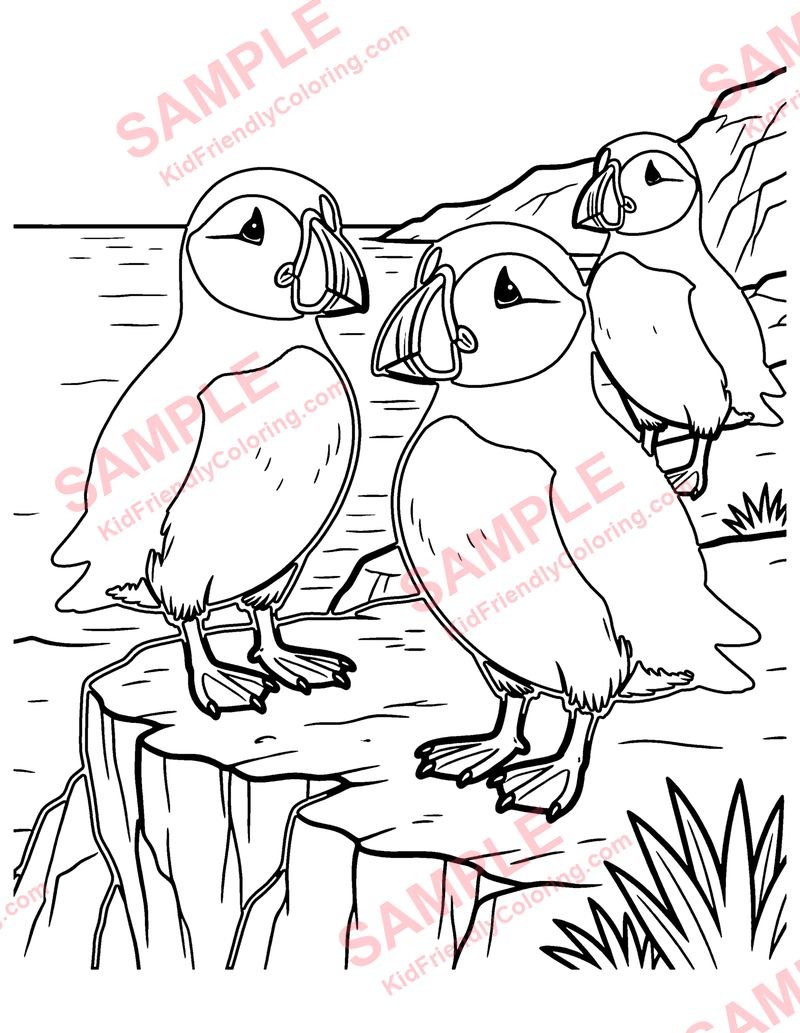 Puffins coloring page preview