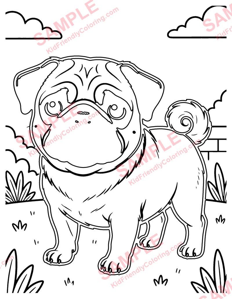 Pug coloring page preview