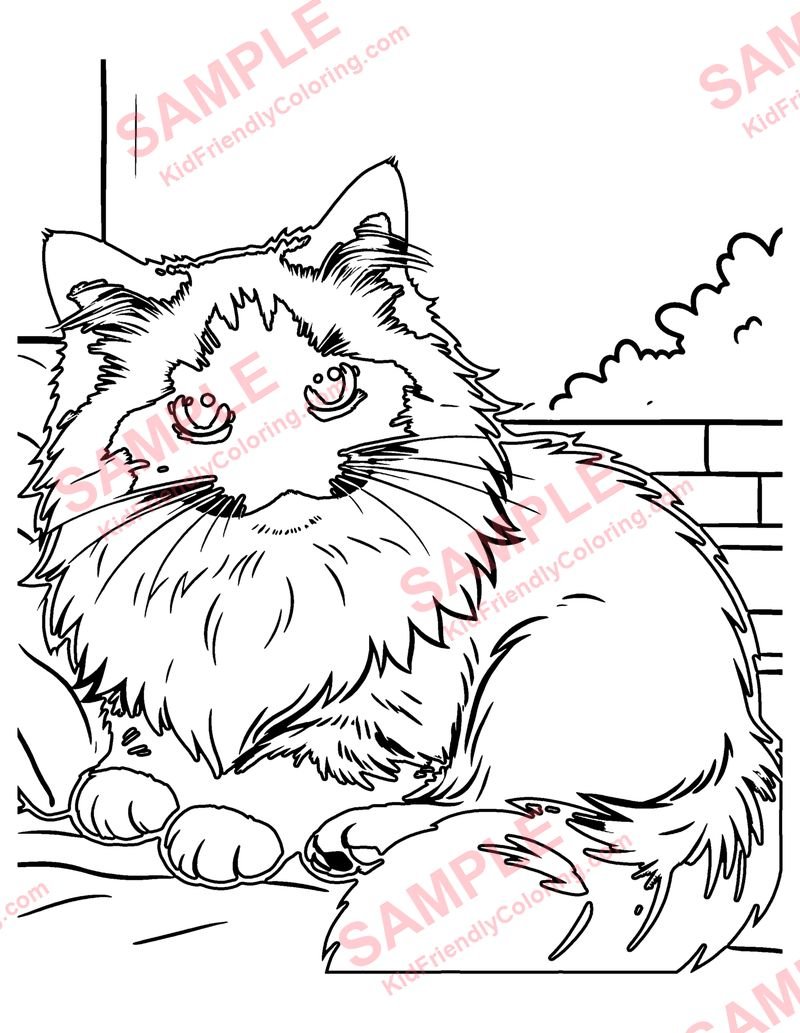 Ragdoll Cat coloring page preview