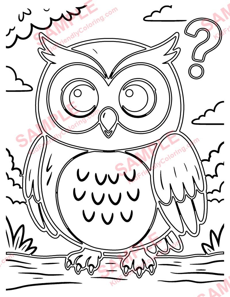 Riddle Owl coloring page preview