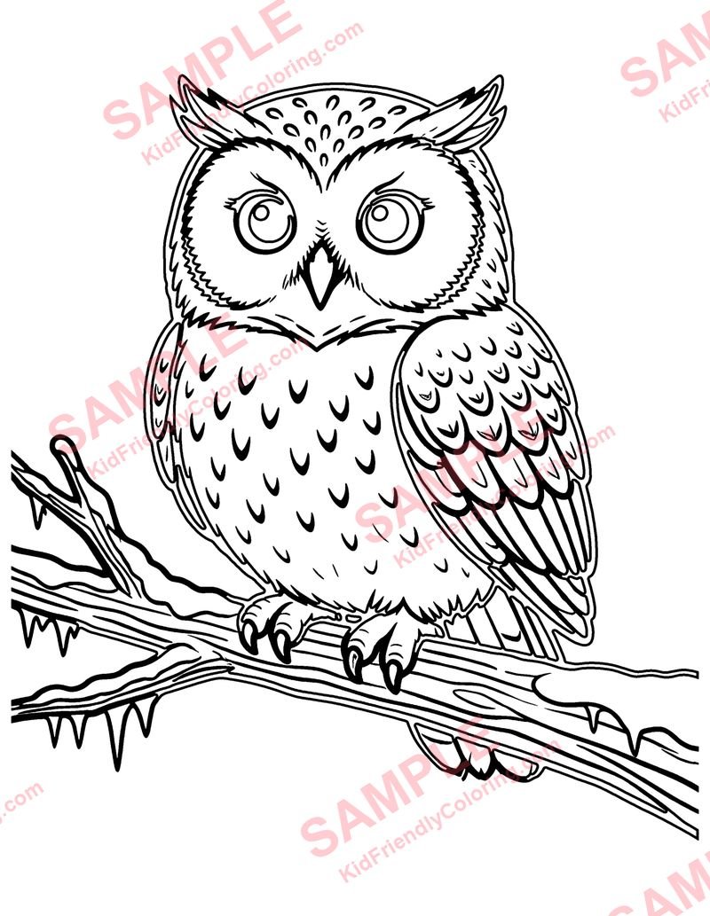 Snowy Owl coloring page preview