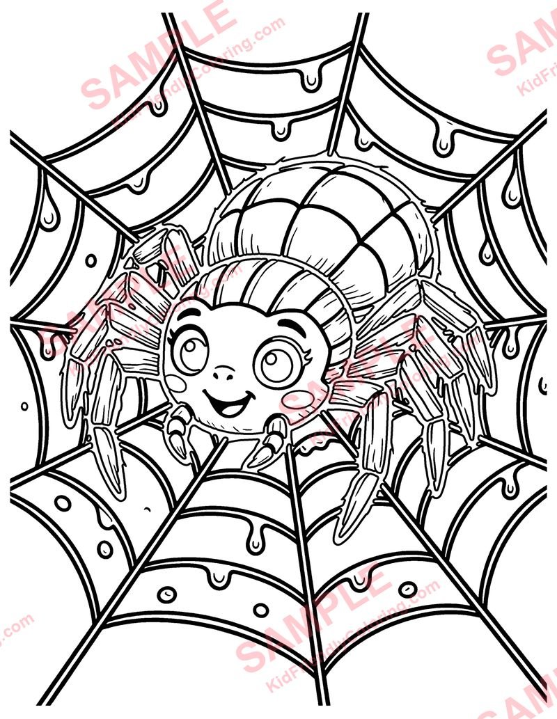 Spider Web coloring page preview