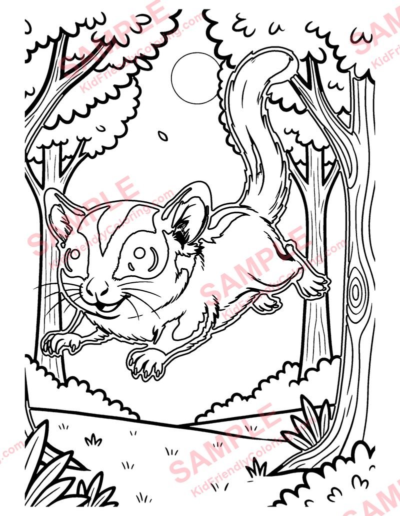 Sugar Glider coloring page preview