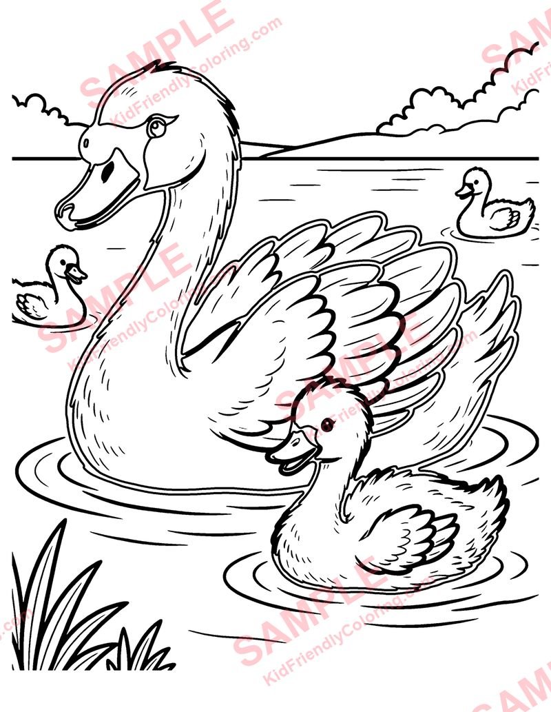 Swan and Cygnets coloring page preview