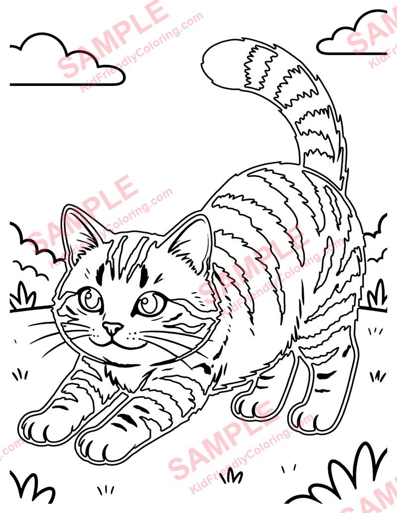 Tabby Cat coloring page preview