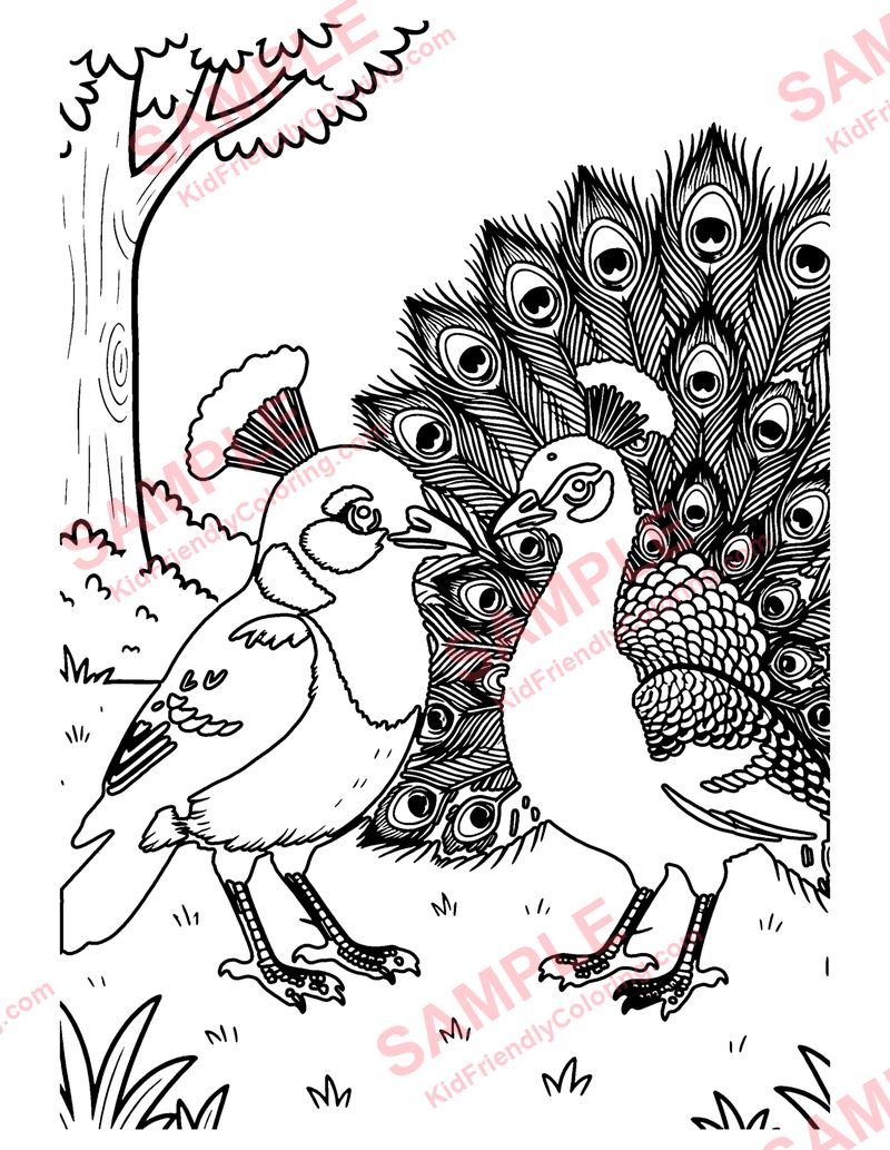The Jay and the Peacock coloring page preview