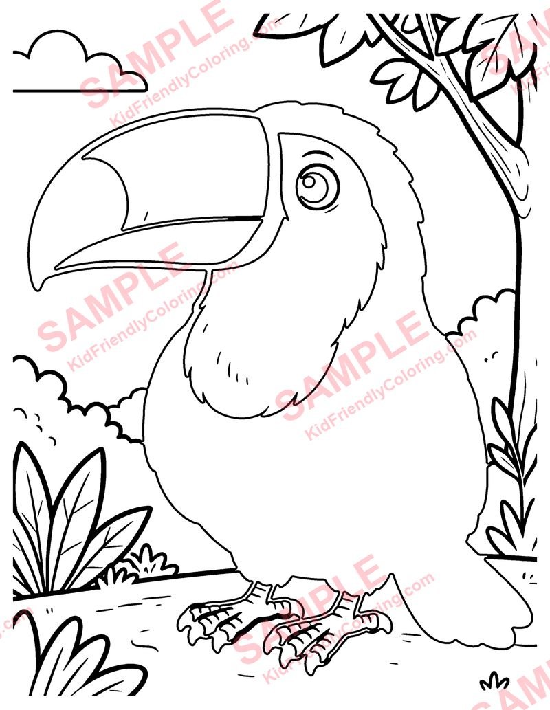 Toucan coloring page preview