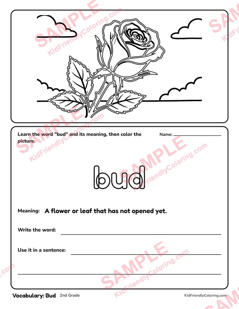 Vocabulary: Bud coloring page preview