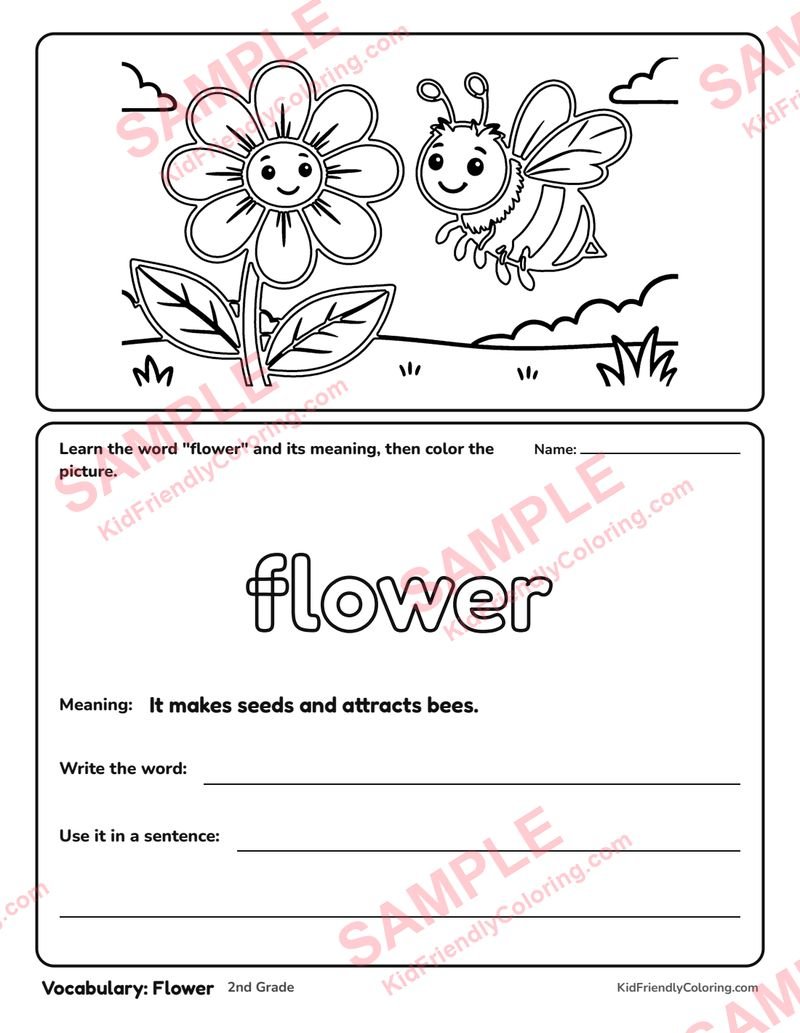 Vocabulary: Flower coloring page preview
