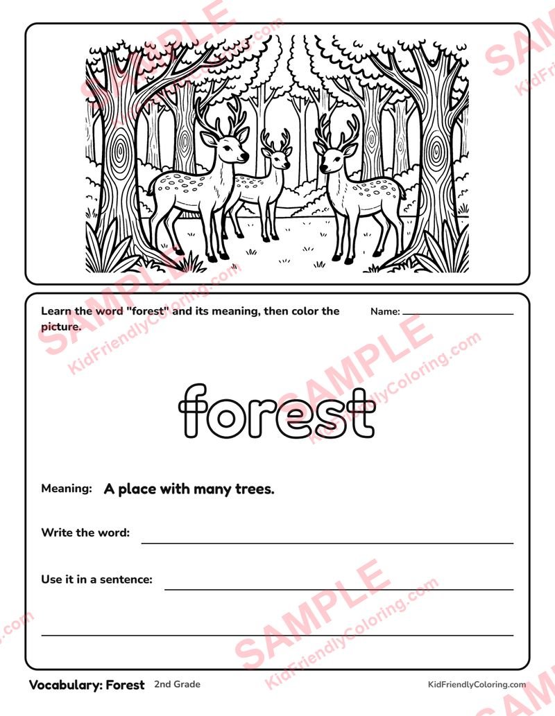 Vocabulary: Forest coloring page preview