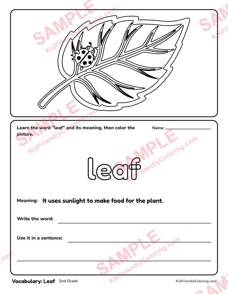Vocabulary: Leaf coloring page preview