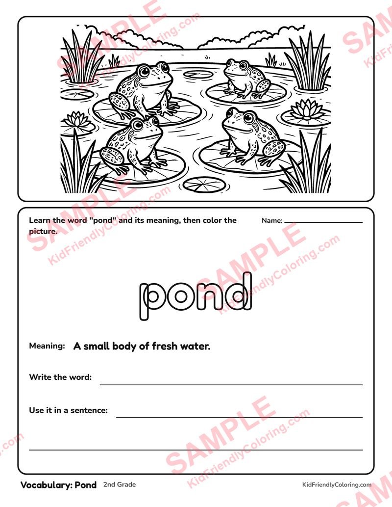 Vocabulary: Pond coloring page preview