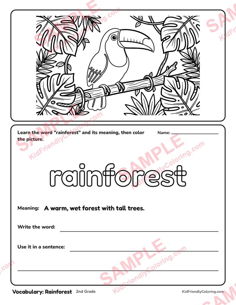 Vocabulary: Rainforest coloring page preview
