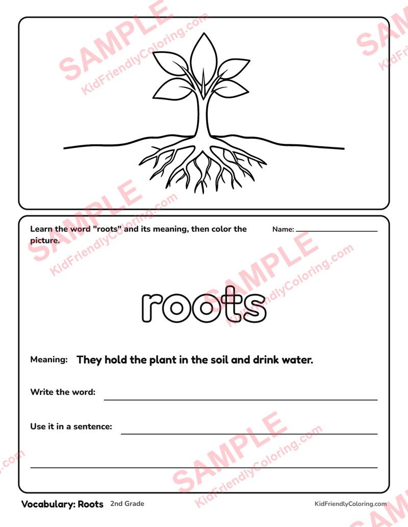 Vocabulary: Roots coloring page preview