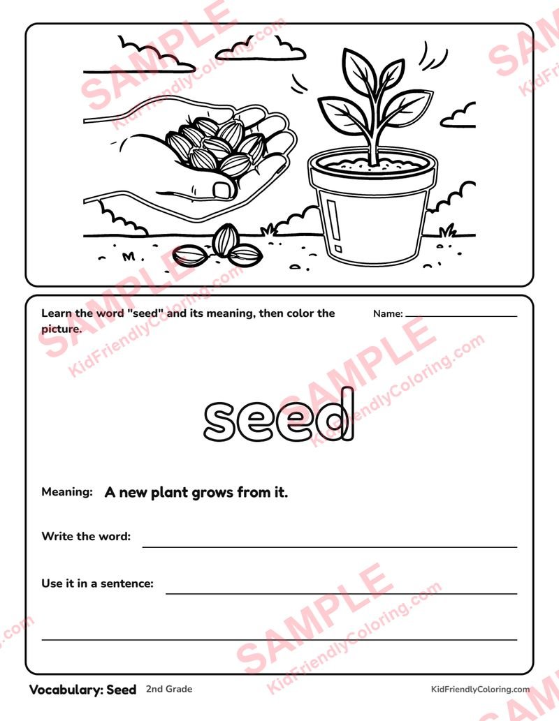 Vocabulary: Seed coloring page preview
