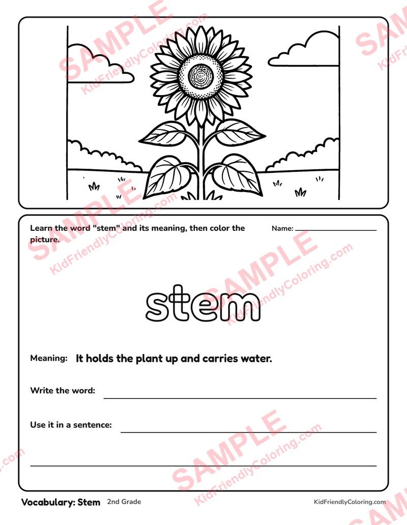 Vocabulary: Stem coloring page preview