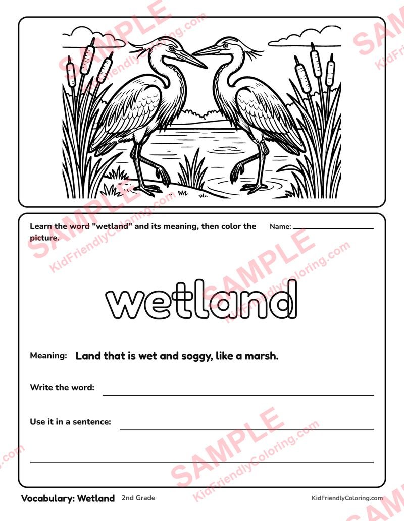 Vocabulary: Wetland coloring page preview