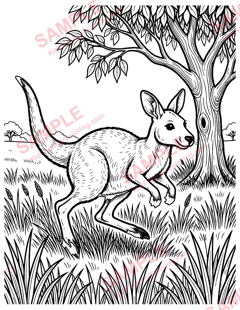 Wallaby Hop coloring page preview