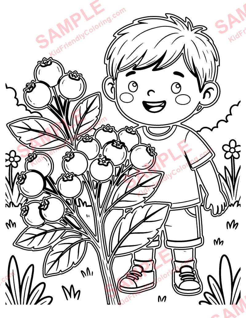 Wild Berries coloring page preview