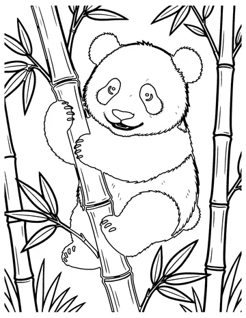 Baby Panda coloring page